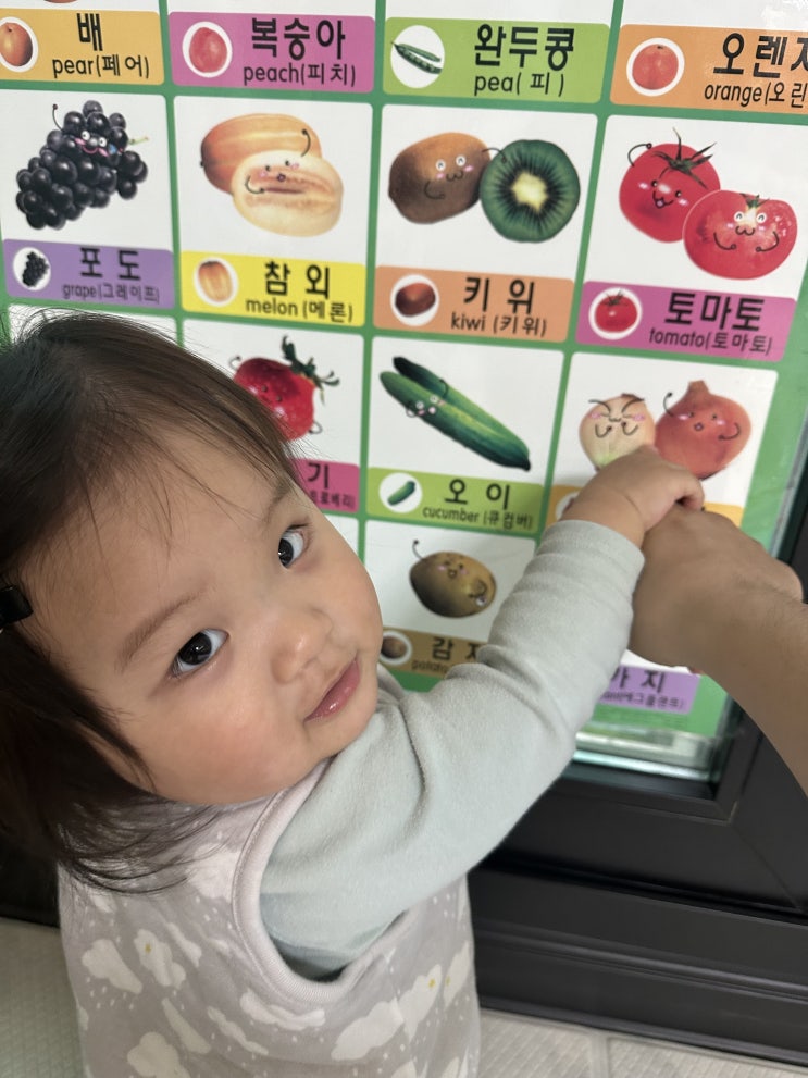 토이저러스 '과일채소' 벽보 토이저러스 '과일채소' 벽보