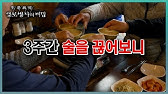 기뻐서 한잔, 슬퍼도 한잔… 위로가 아니라 독이 된 술 기뻐서 한잔, 슬퍼도 한잔… 위로가 아니라 독이 된 술