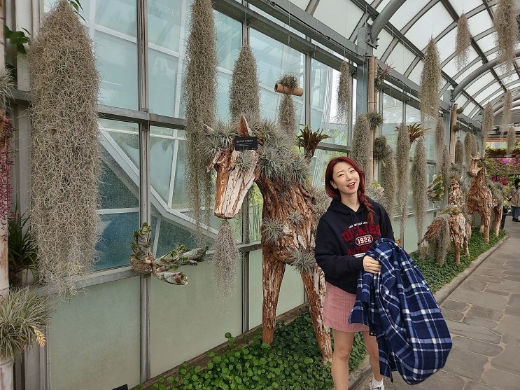 대전 실내 아기랑 가볼만한곳 한밭수목원 열대식물원