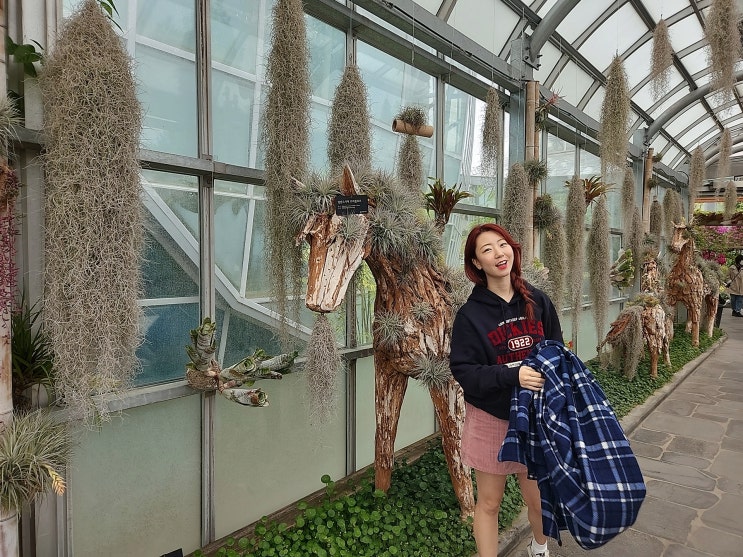  대전 실내 아기랑 가볼만한곳 한밭수목원 열대식물원