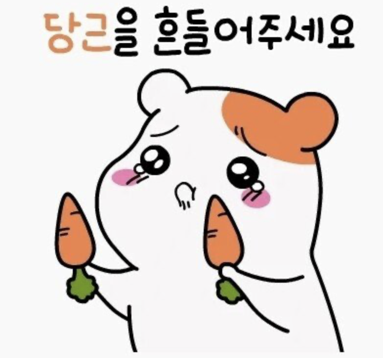 소라아구복 사진 2