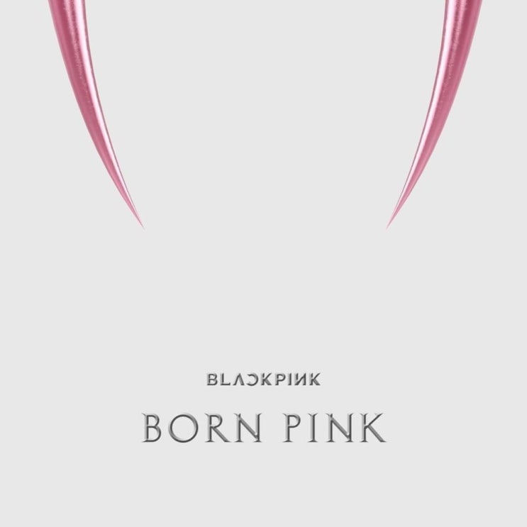 블랙핑크 (BLACKPINK) - Typa Girl 가사/번역 블랙핑크 (BLACKPINK) - Typa Girl 가사/번역