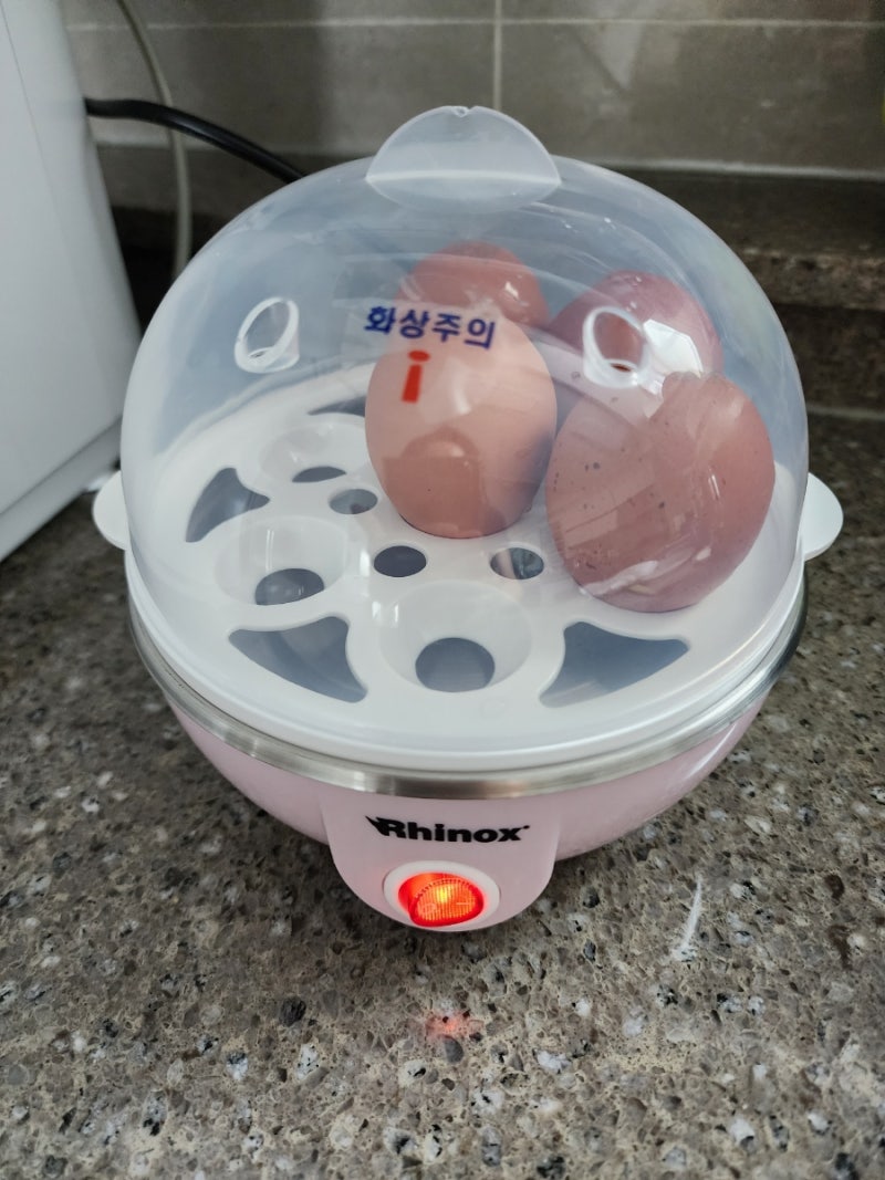 라이녹스 계란찜기 이용후기, 작지만 기특~!