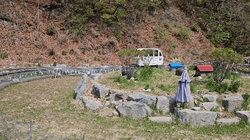  [평창 가볼만한곳]대관령 양떼목장 애니포레