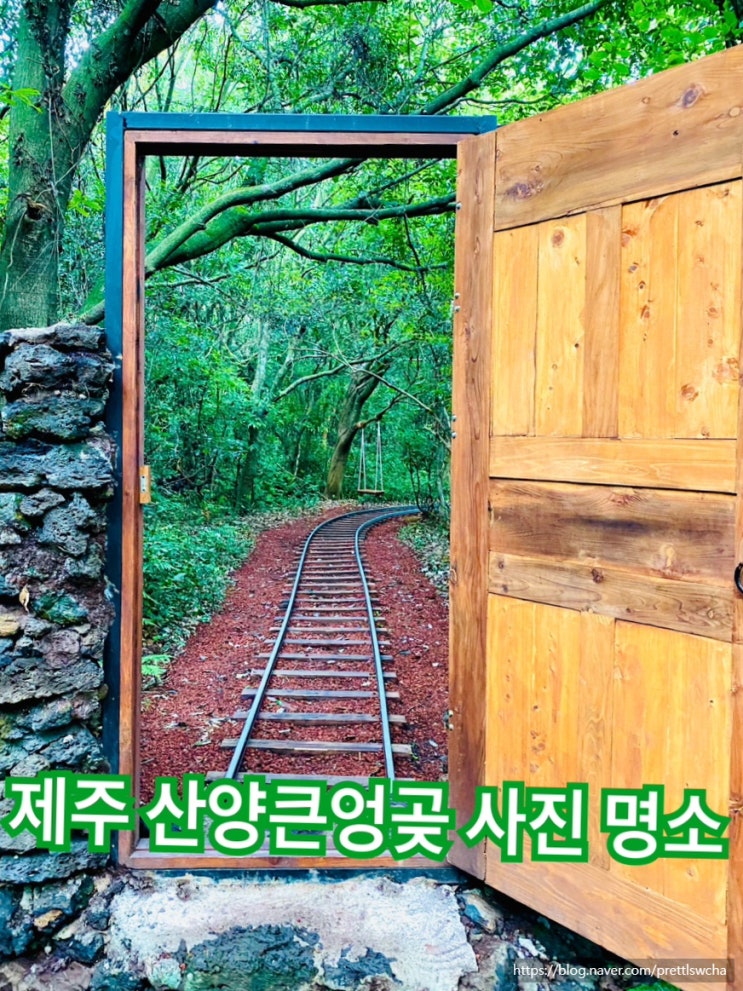  산양큰엉곳 제주사진명소 아이와 가볼만한 곳 걷기좋은 숲길 (1년에 한번뿐인 반딧불 체험 날짜 정보)
