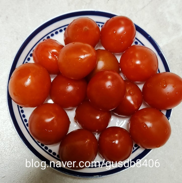 올팜 방울토마토 올웨이 맞팜! 올팜 방울토마토 올웨이 맞팜!