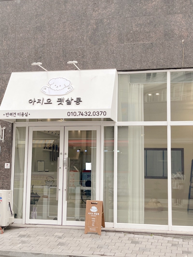 사진 4