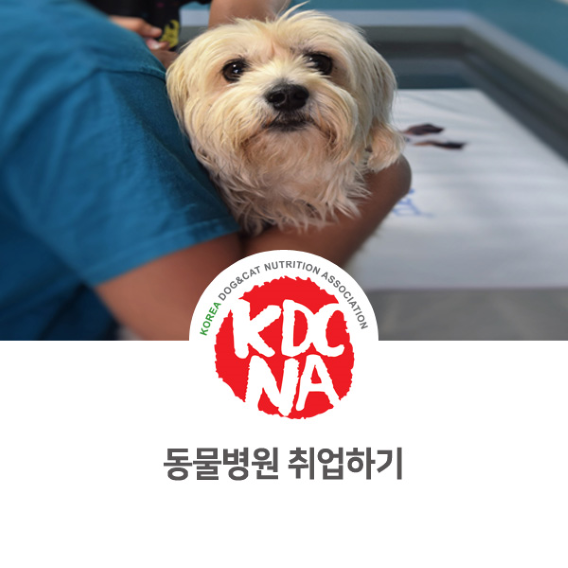  반려동물 관련 직업 동물병원 취업 [한국반려동물영양협회/펫푸드자격증/강아지간식/수원/남양주/안양_1089]