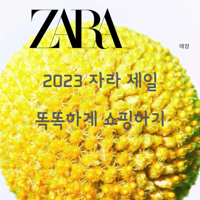  1년에 3번, 자라는 세일을 합니다 (2023 세일 기간, 온라인 스토어 이용 꿀팁)