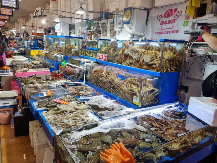  노량진 수산시장 제철 암꽃게 맛집 여수상회 신선한 해산물 모둠