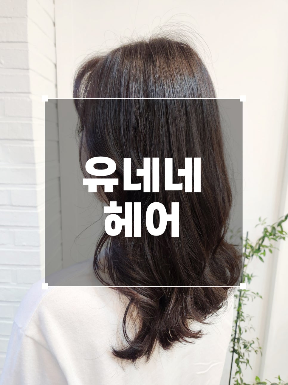 유네네헤어 사진 1