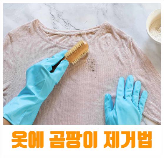  옷 곰팡이 제거 옷에 핀 곰팡이 세탁 어렵지 않음