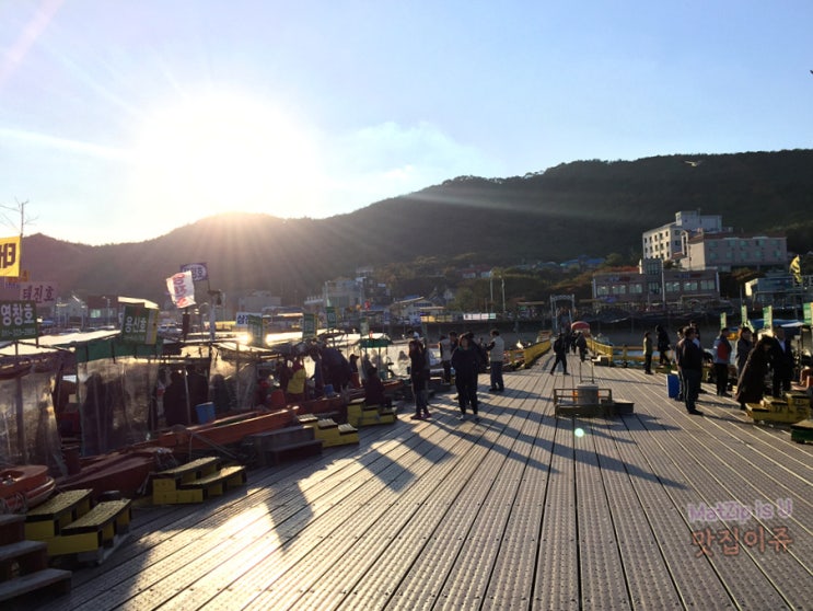 15년 16년 일상기록 / 당진석문각, 옛터민속박물관, 한밭수목원, 식장산