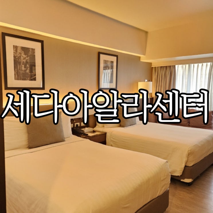  세부시티 호텔 아얄라몰과 연결된 세다 아얄라 센터 클럽 트윈룸 후기(Seda Ayala Center Cebu)