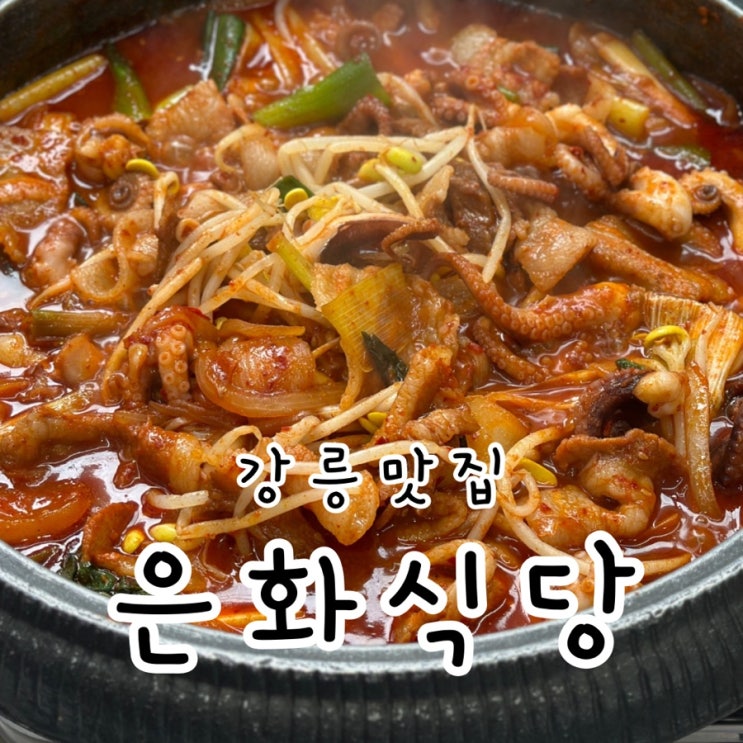  강릉 은화식당 강릉역 근처 매콤하고 맛있는 쭈꾸미불고기 맛집