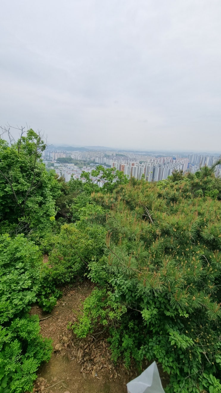 한달만에 금정산 정상
