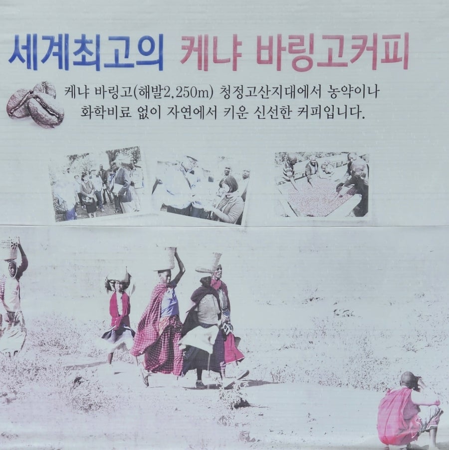 알토스카페 사진 2
