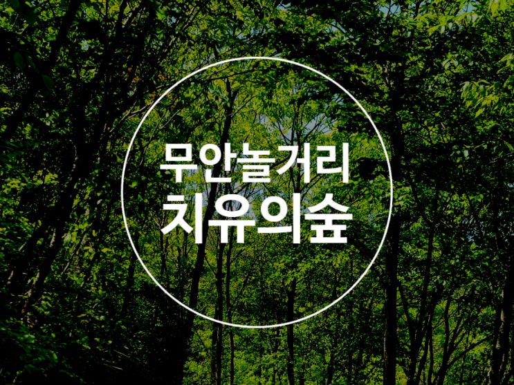 무안 치유의숲 청춘공동체정원 목포근교데이트