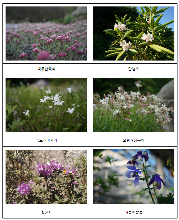 기후변화로 사라져 가는 북방계 및 북한식물 기후변화로 사라져 가는 북방계 및 북한식물