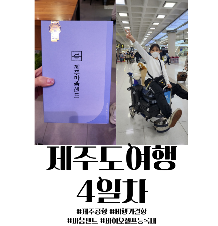 <b>제주</b>도 여행 4일차  <b>제주공항</b> 비행기 <b>결항</b> 마음샌드... 