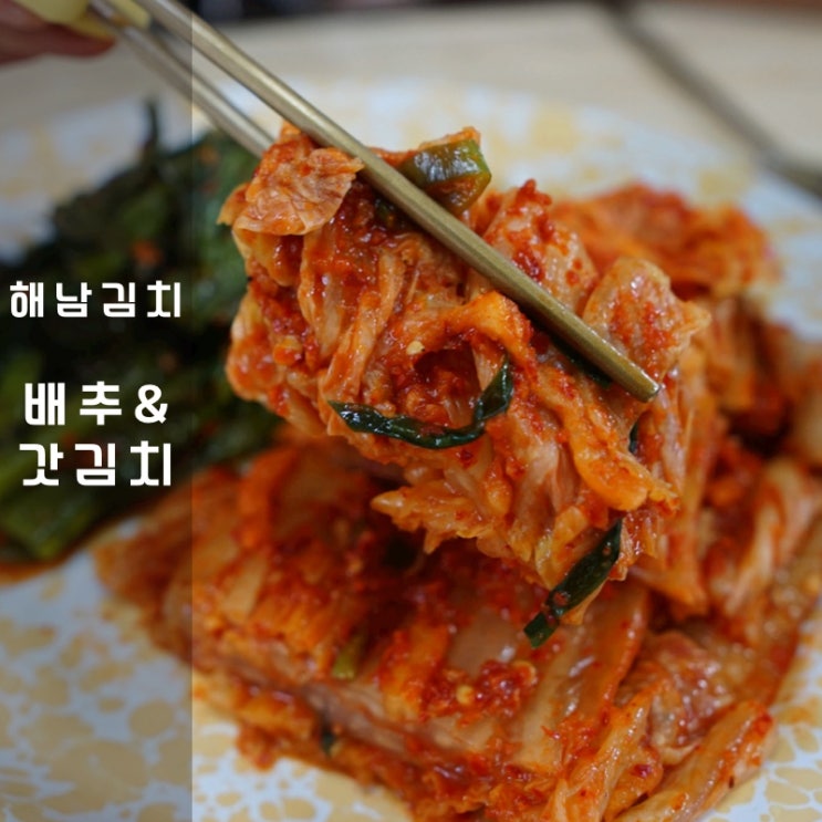  화원농협 김치 가공공장 여름 배추김치 돌산 갓김치 칼로리