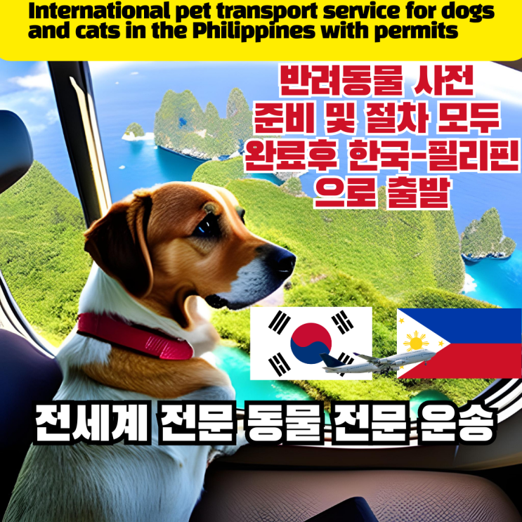  강아지 고양이 반려동물 반려견 대형견 검역 해외 출국 운송 (국제서비스) 필리핀편