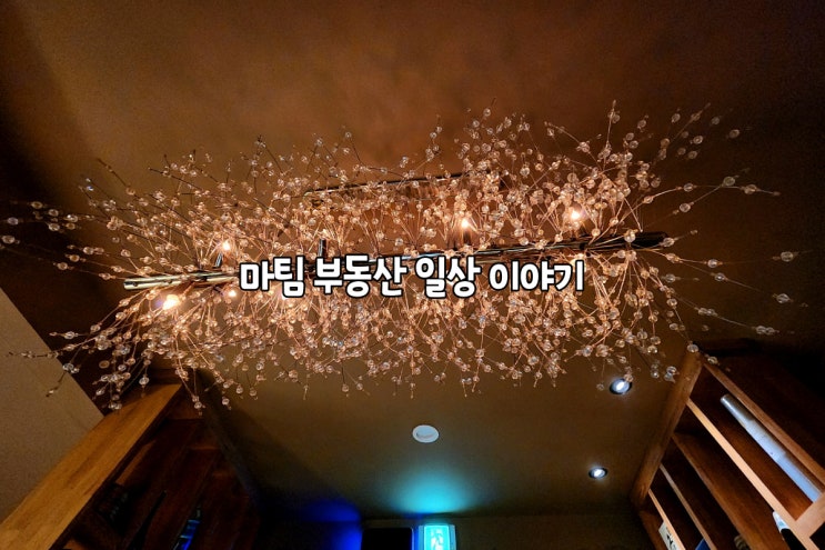  수다 청담점