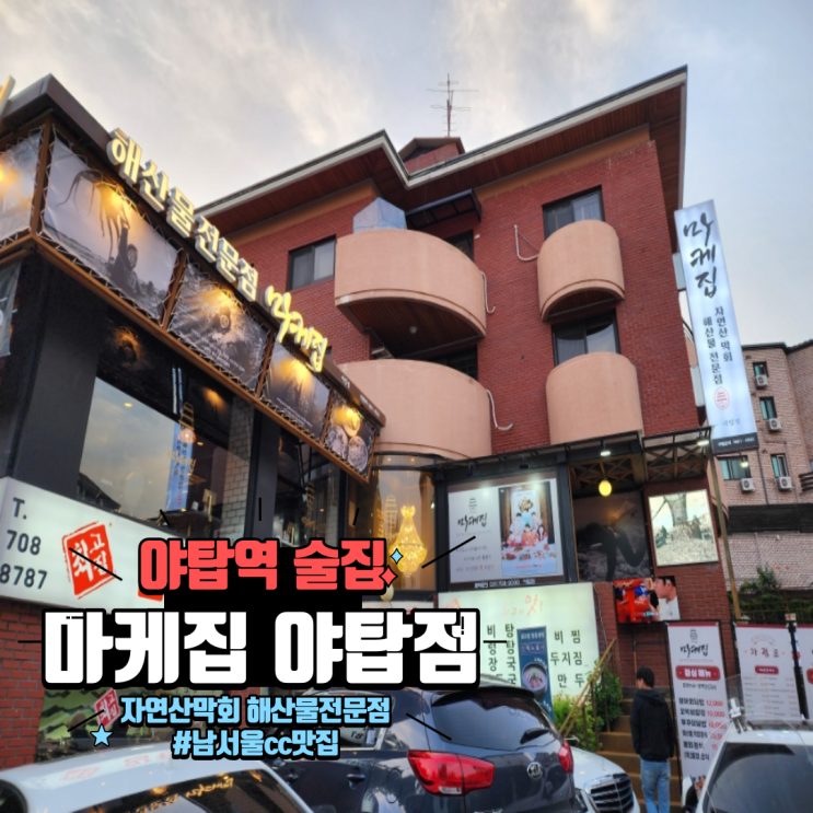  남서울cc맛집 분당룸식당 야탑역 술집 분위기 좋은 횟집 마케집 야탑점