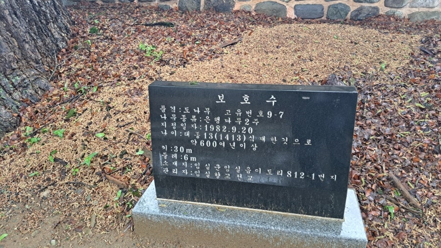 월강소류지 사진 5