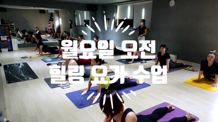  월요일에 활력을 불어 넣어주는 오전 힐링요가 수업~!
