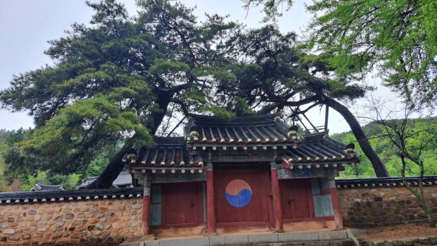 월강소류지 사진 3