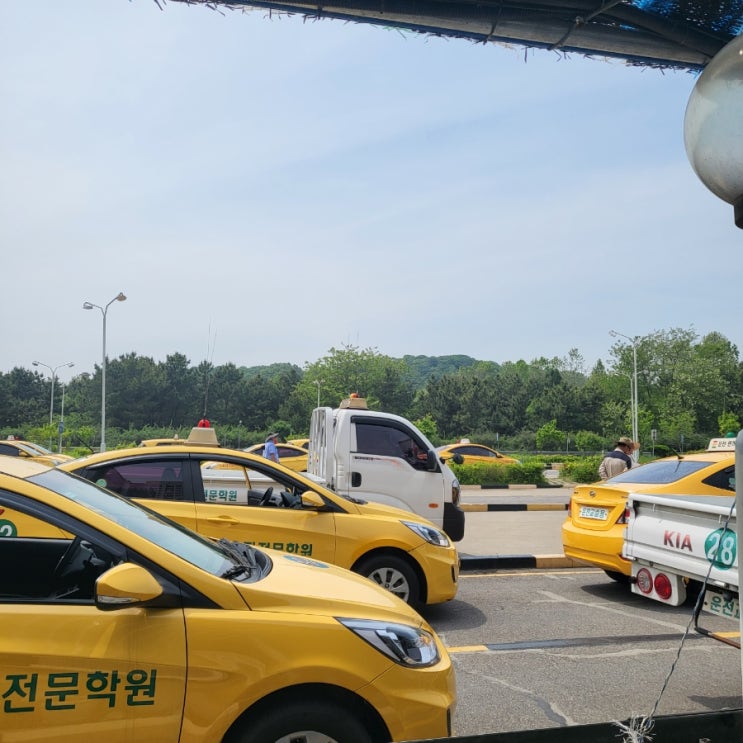  운전면허 취득기 2탄 (장내기능)