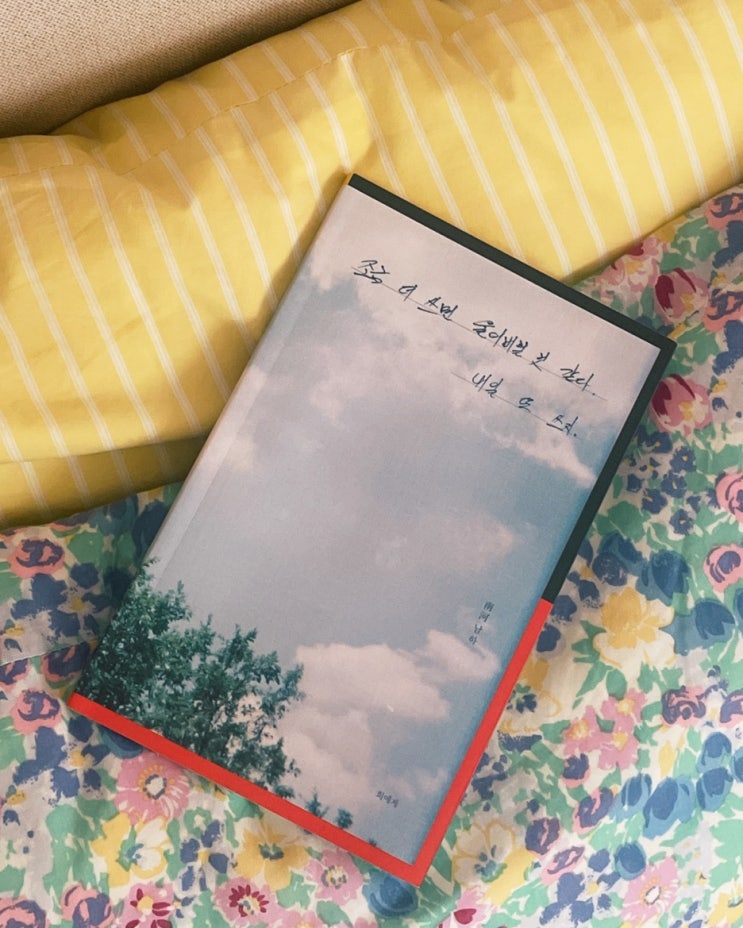  021. 조금 더 쓰면 울어버릴 것 같다. 내일 또 쓰지.