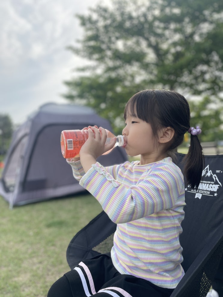  서울난지한강공원에서 가족과 함께하는 완벽한 오후로 보내는 3가지 방법!