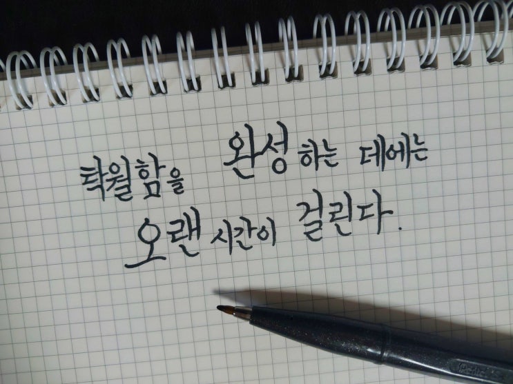 탁월함을 완성하는 데에는 오랜 시간이 걸린다.