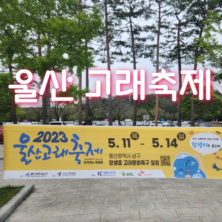  울산고래축제 주차장, 순환버스, 프로그램 정보