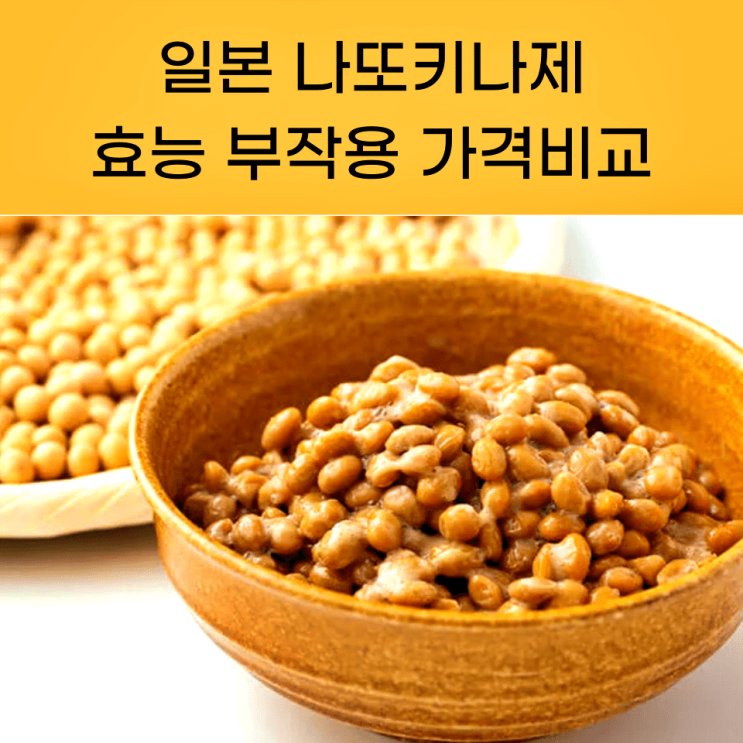  일본나또키나제 효능 부작용 가격비교