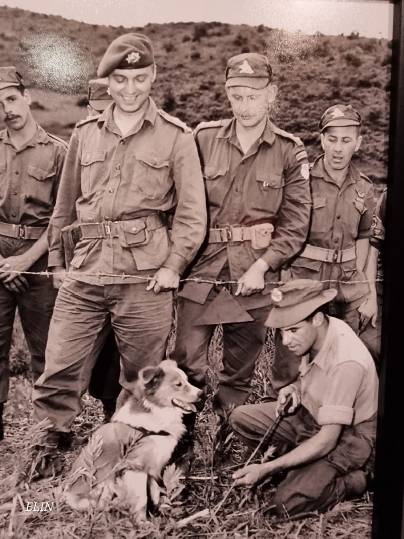 changyongsu (@ciocsn) • Instagram photos and videos, image size:800x1067