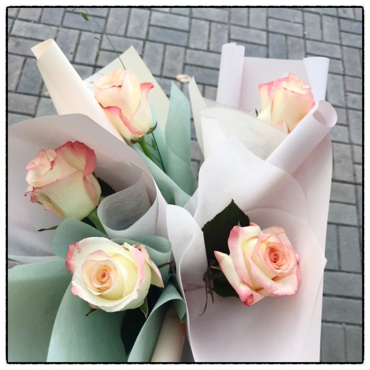 예뜰플라워 장미꽃 한송이 소소한 직원복지 아내에게 키세스카네이션 꽃바구니 선물 예뜰플라워 장미꽃 한송이 소소한 직원복지 아내에게 키세스카네이션 꽃바구니 선물