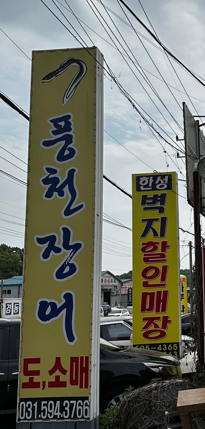 보아스장어 사진 2