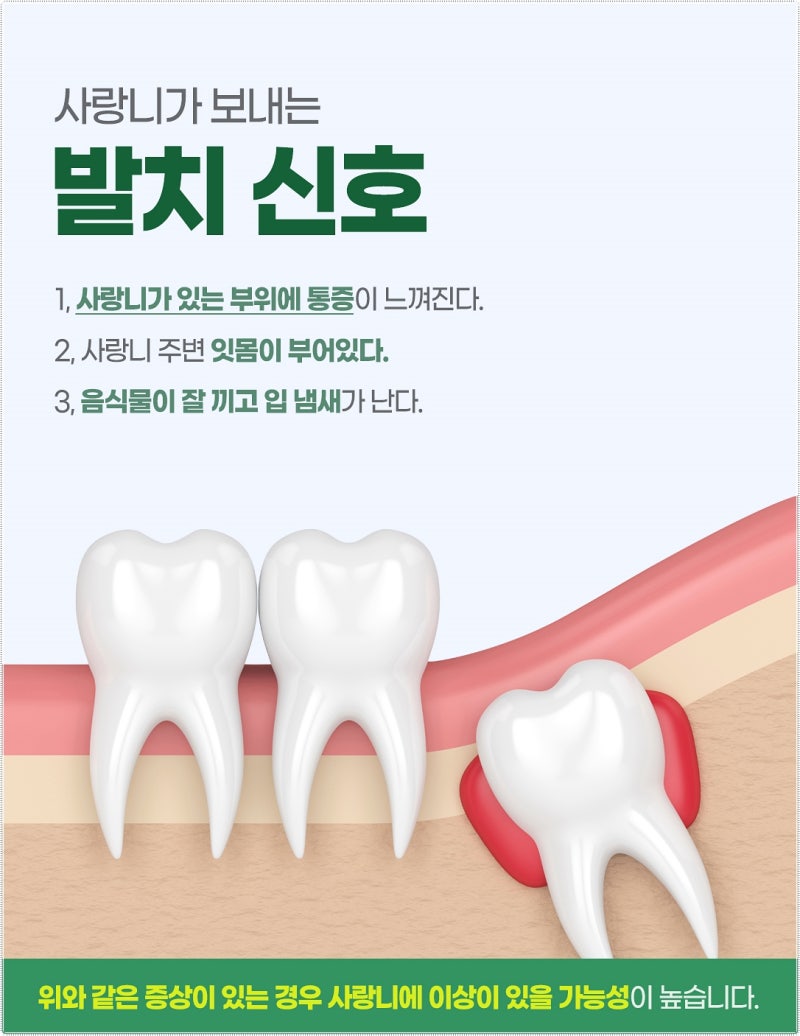 사랑니 나는 시기 및 적정 발치시기는? : 네이버 블로그