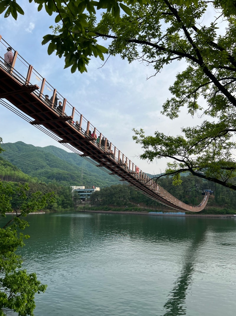 파주 가볼만한 곳 마장호수 출렁다리 둘레길 산책 후기 : 네이버 블로그