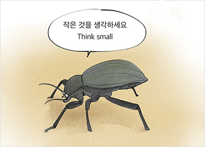 딱정벌레 자동차 딱정벌레 자동차