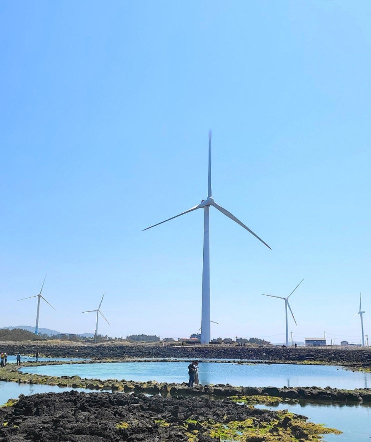  6월 제주 여행 사진스팟  , 5월 2박3일 제주도 여행코스 추천 참고해요!