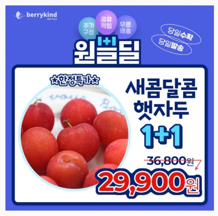  5월8일 베리카인드 햇자두 타임스프레드 캐시닥 용돈퀴즈 정답 (지니어트)