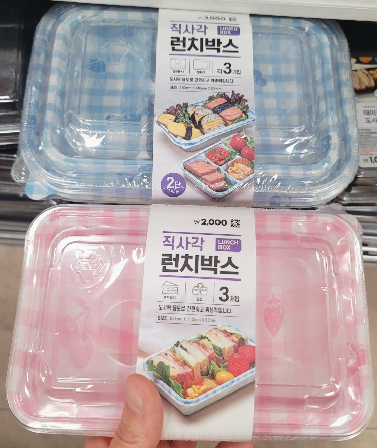  피크닉 도시락, 직장인 도시락 용기, 다이소 도시락통 추천