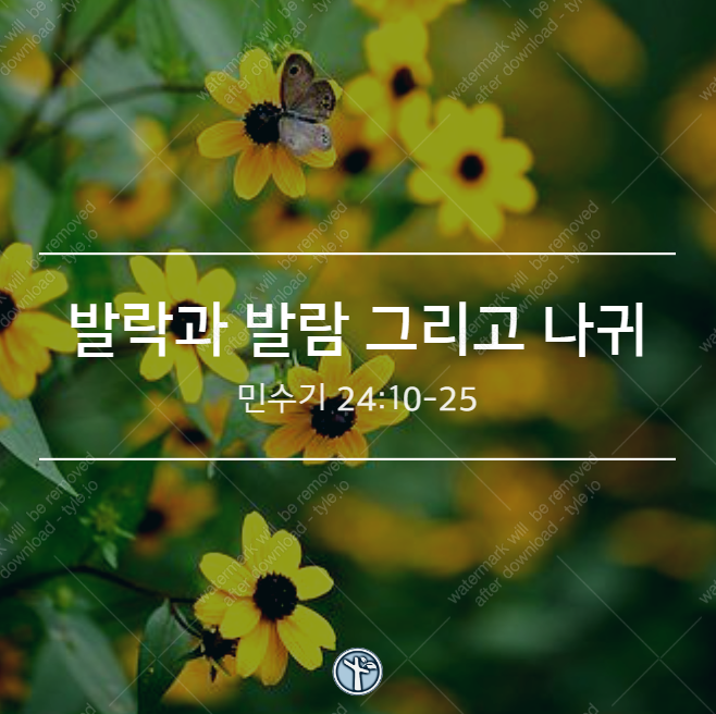  발락과 발람 그리고 나귀 / 민수기 24:10-25