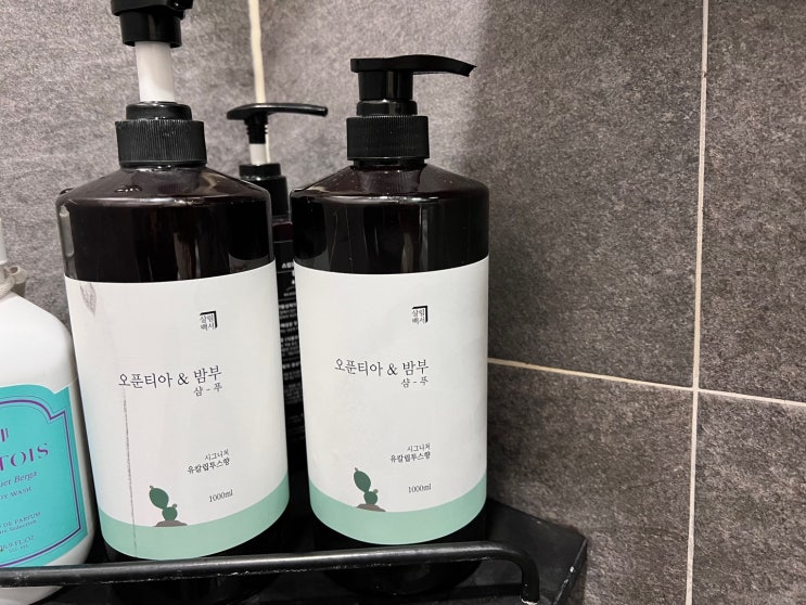  살림백서 오푼티아 밤부 유칼립투스 향 샴푸
