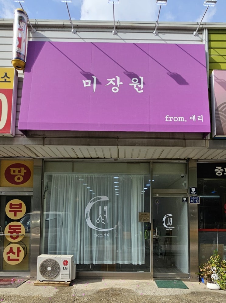 풍동미용실 염색전문 미장원프롬애리