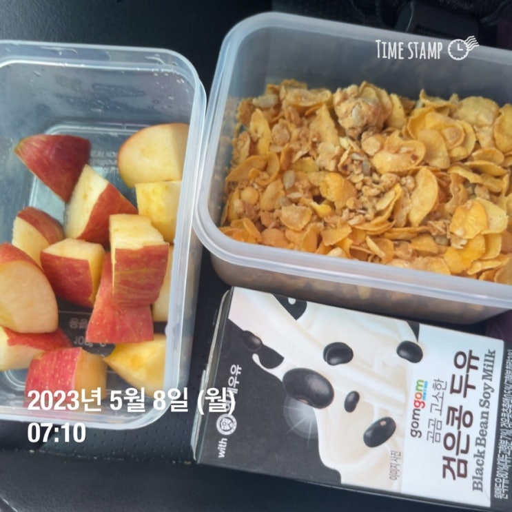  2023 양쓰 다이어트 10kg 감량해보자 오마카세 내기 했잖아 D+48~54
